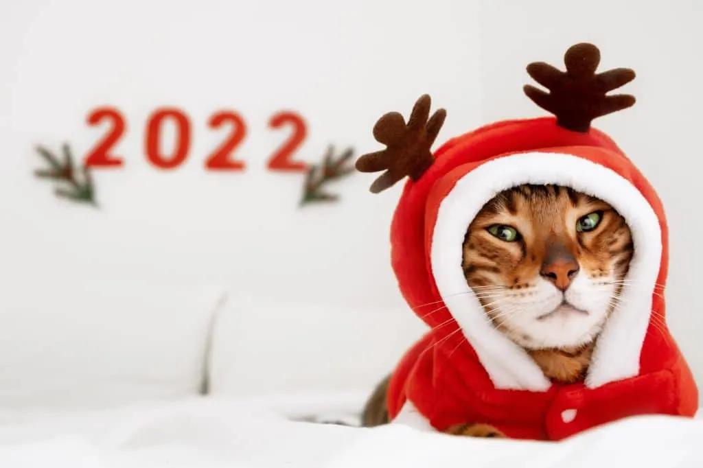 Dropshipping 2022 : conseils et astuces pour réussir